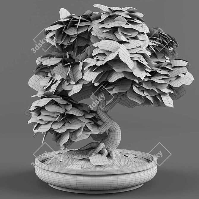 Miniature Japanese Maple Bonsai Tree 3D model image 4