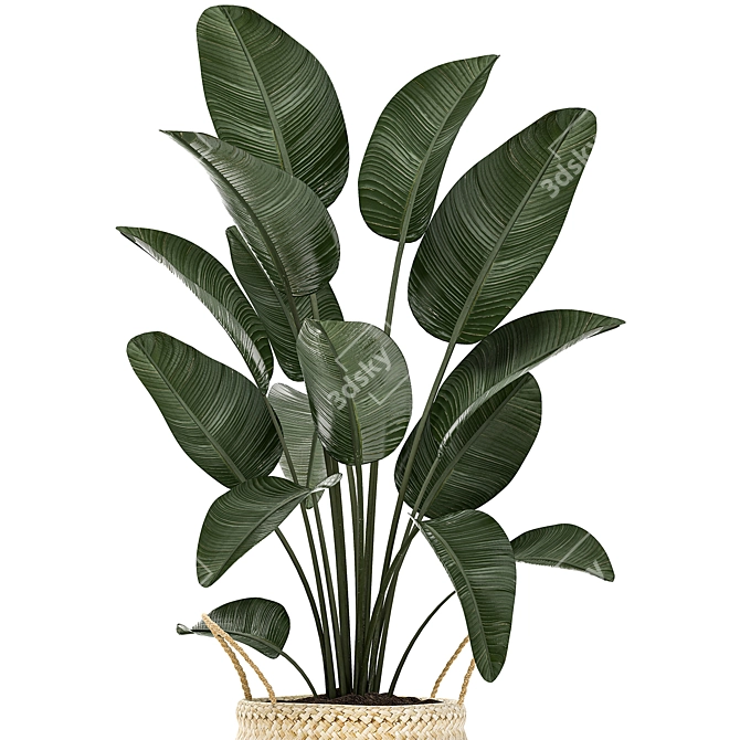 Exotic Indoor Plant Collection 3D model image 3