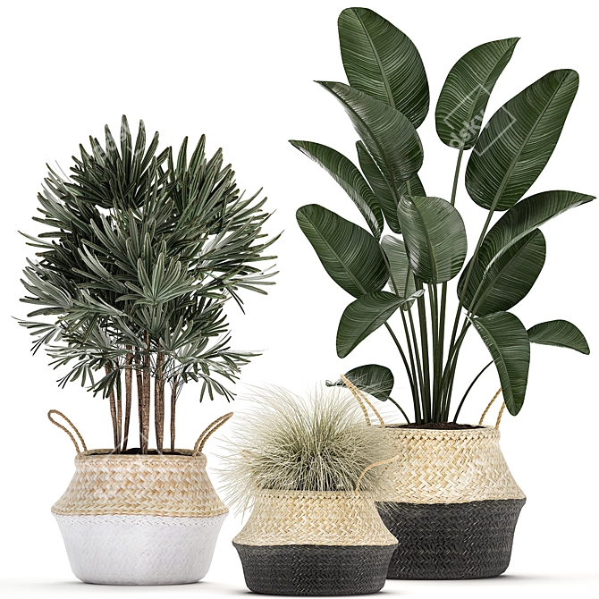 Exotic Indoor Plant Collection in Rattan Basket 3D model image 1