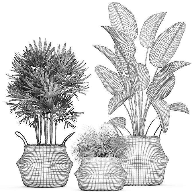 Exotic Indoor Plant Collection in Rattan Basket 3D model image 5
