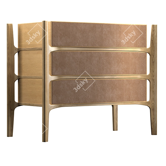 Danish Inspired Leather Front Architects Chest 3D model image 3