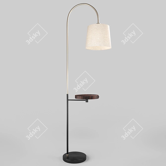 Org Modern Black Brass Floor Lamp 3D model image 1