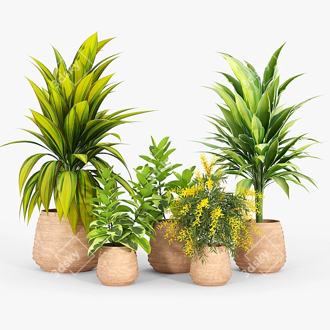 Minimalist Tula Planter Set 3D model image 1