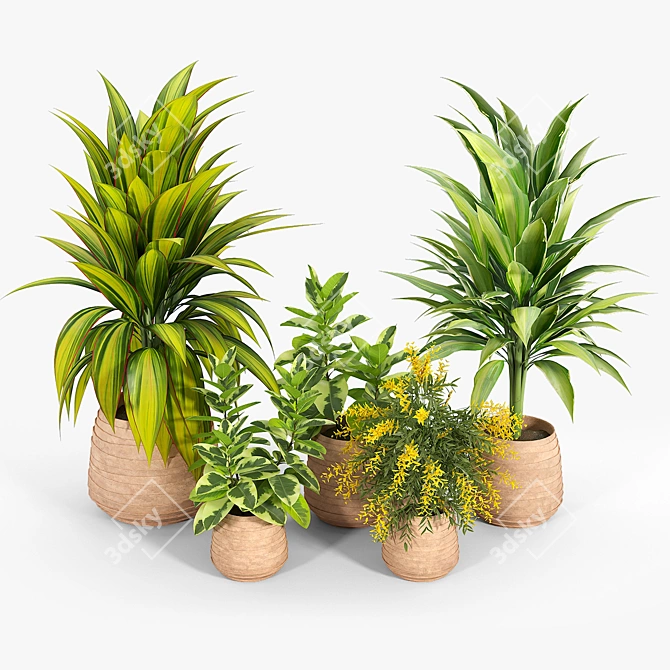 Minimalist Tula Planter Set 3D model image 2