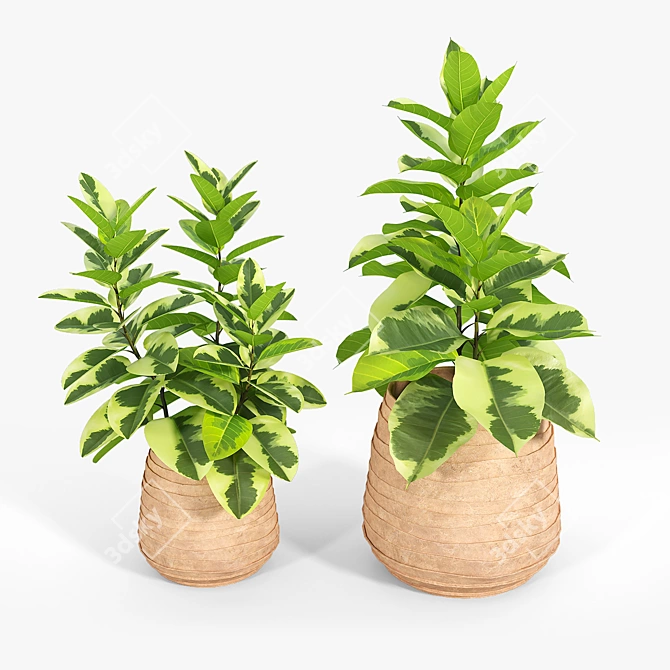 Minimalist Tula Planter Set 3D model image 4