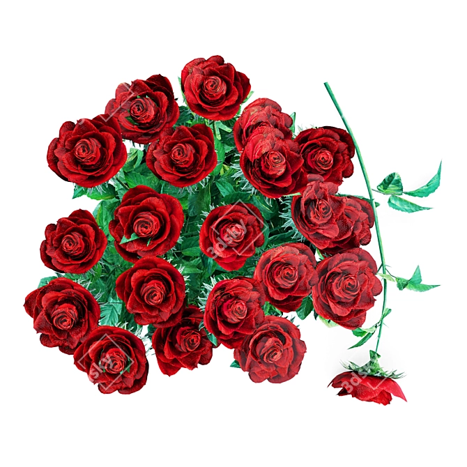 Elegant Red Rose Vase 3D model image 2
