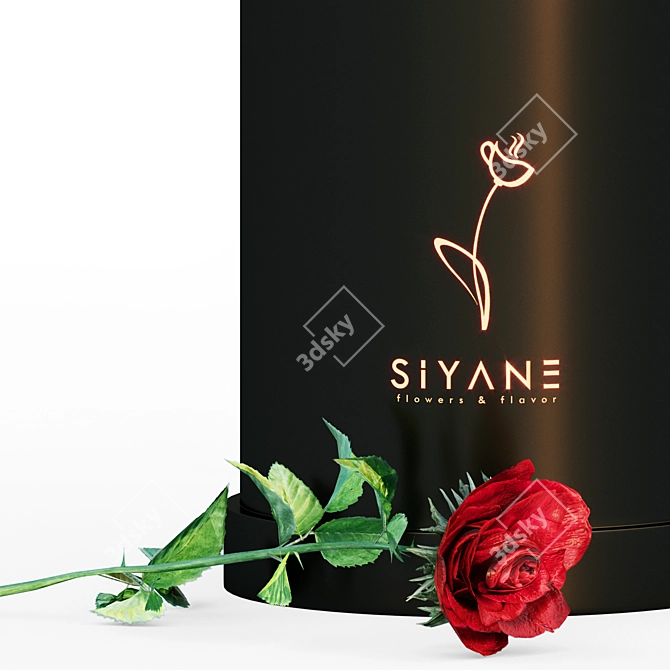 Elegant Red Rose Vase 3D model image 3