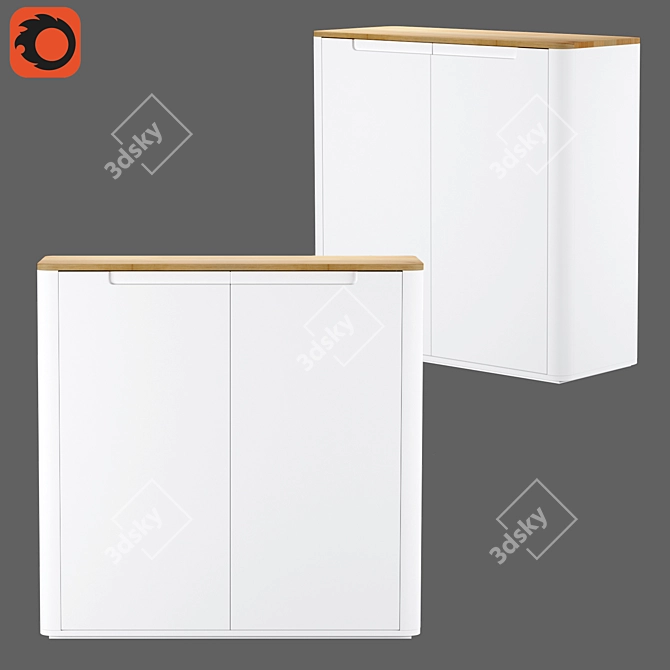 Modern Shoe Cabinet with 2 Doors - Stolico 3D model image 3