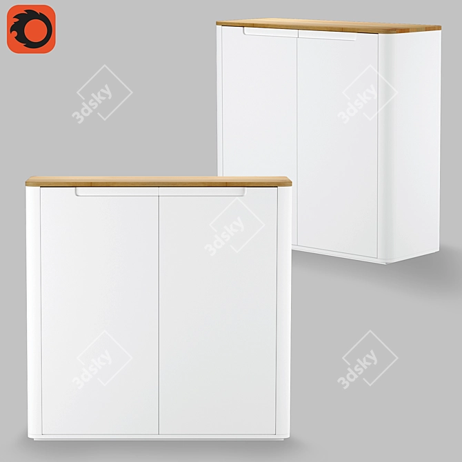 Modern Shoe Cabinet with 2 Doors - Stolico 3D model image 7