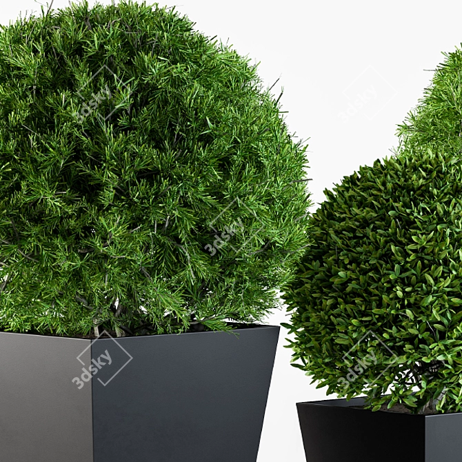 Round Outdoor Plants: Enhance Your Outdoor Space 3D model image 2