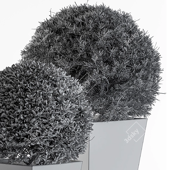 Round Outdoor Plants: Enhance Your Outdoor Space 3D model image 5