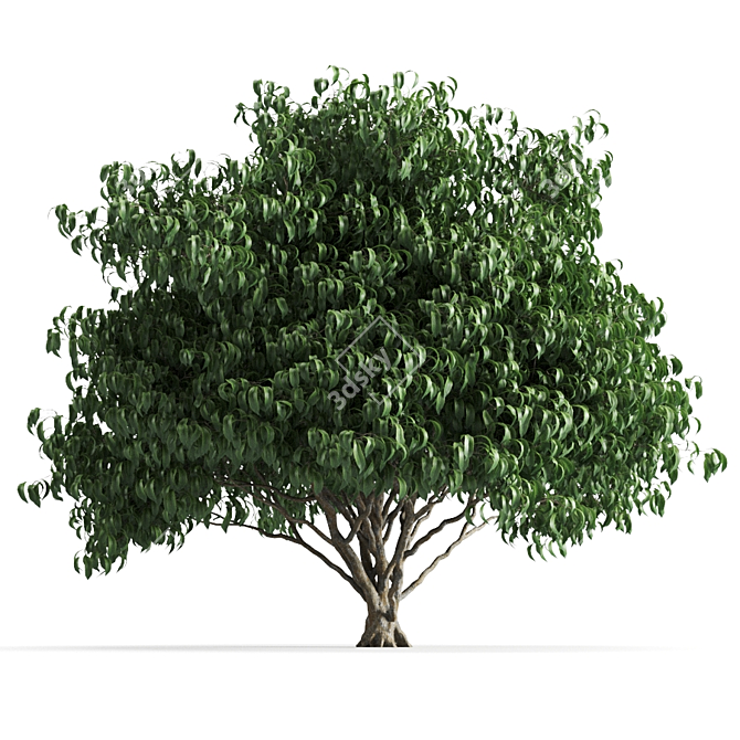 Lush Green Plant 58C 3D model image 1