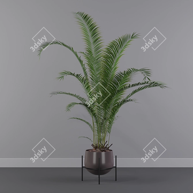 Tropical Oasis: Areca Palm 01 3D model image 1