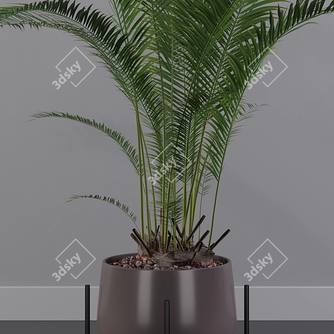 Tropical Oasis: Areca Palm 01 3D model image 2