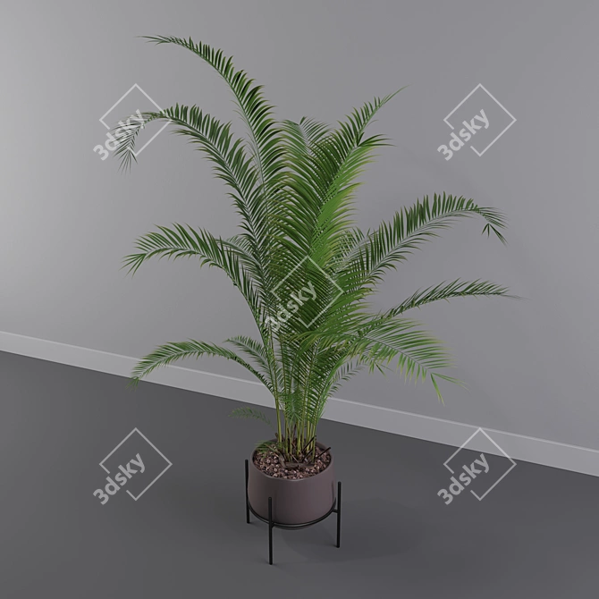 Tropical Oasis: Areca Palm 01 3D model image 3