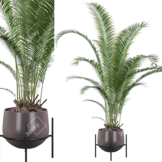 Tropical Oasis: Areca Palm 01 3D model image 6