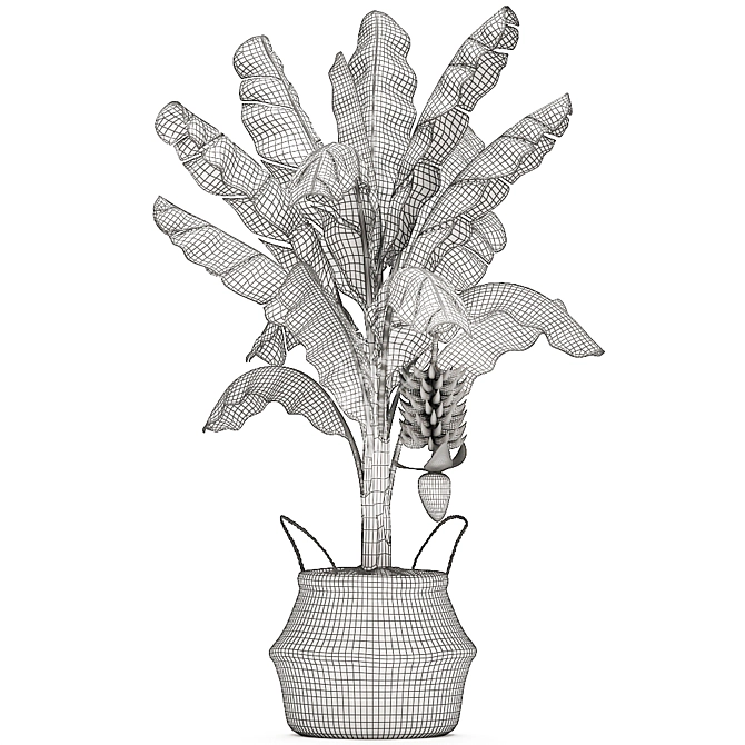 Tropical Plant Basket: Exotic Decor Collection 3D model image 5