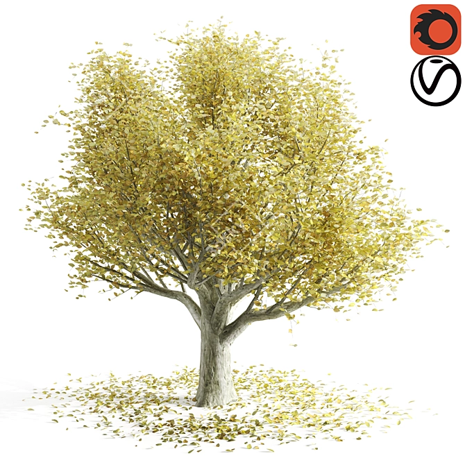 Golden Autumn Beech 3D model image 1