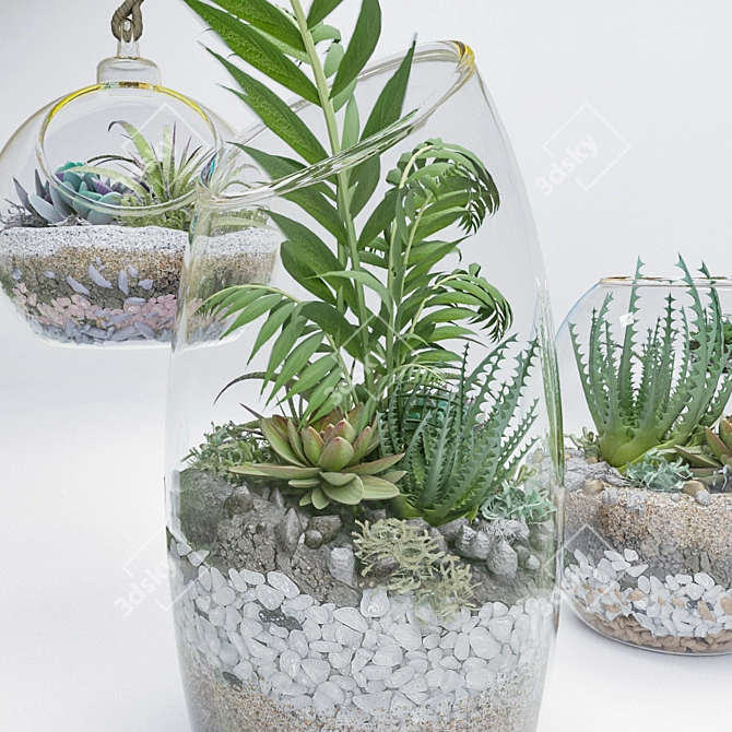 Botanical Bliss: 5 Glass Ball Terrarium Set 3D model image 2