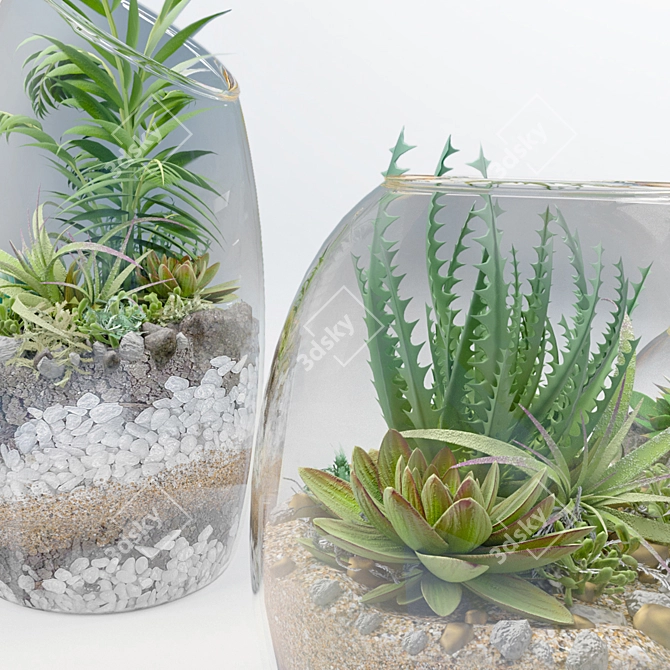 Botanical Bliss: 5 Glass Ball Terrarium Set 3D model image 3