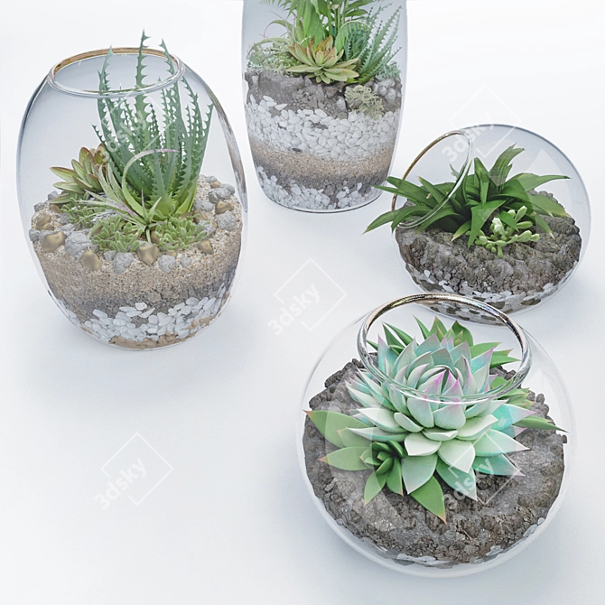 Botanical Bliss: 5 Glass Ball Terrarium Set 3D model image 5