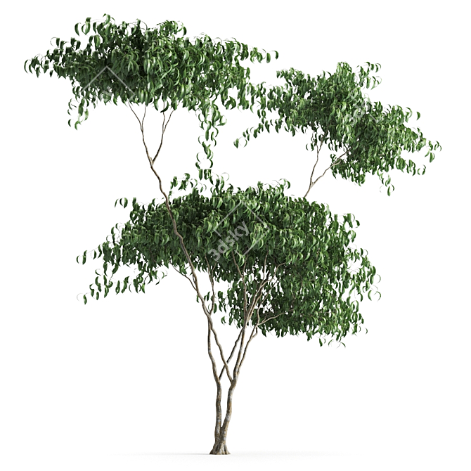 Russian Plant 58: Beautiful and Functional 3D model image 1