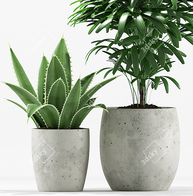 Tropical Greenery Pot Set 3D model image 3