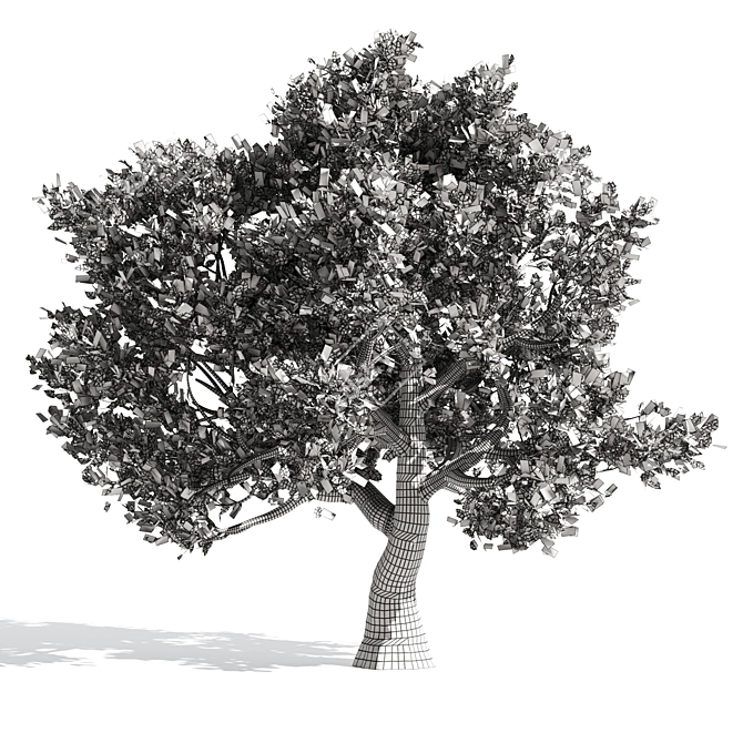 Amur Cork Tree Extract: Summer Bliss 3D model image 5