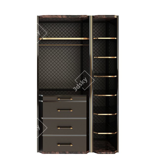 Contemporary Brass and Wood Closet 3D model image 2