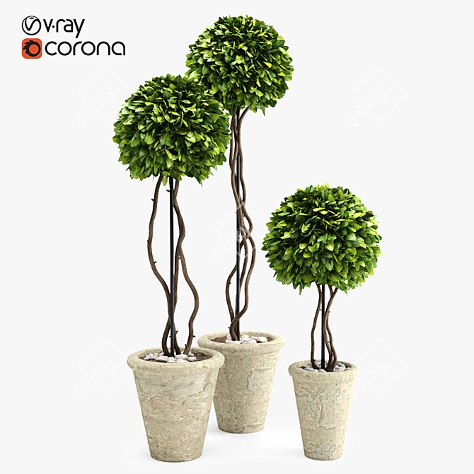 Title: Artificial Boxwood Potted Plant 3D model image 1