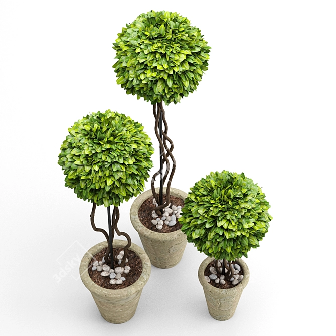 Title: Artificial Boxwood Potted Plant 3D model image 3