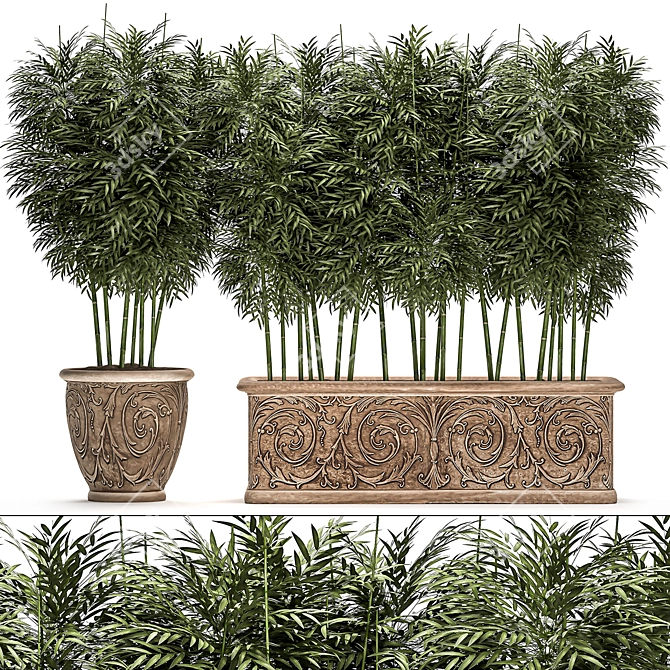 Exotic Bamboo Plants for Outdoor and Indoor Décor 3D model image 1