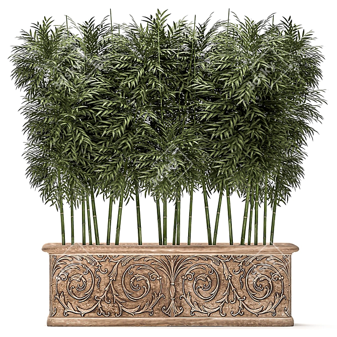 Exotic Bamboo Plants for Outdoor and Indoor Décor 3D model image 2