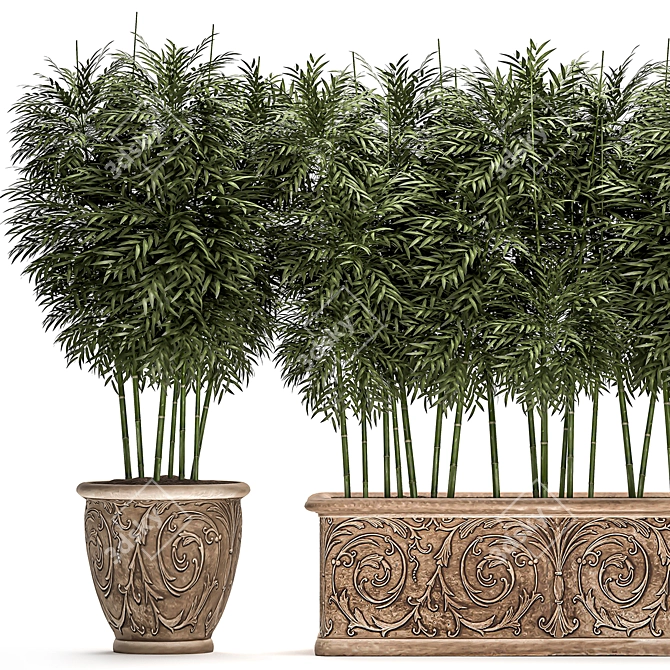 Exotic Bamboo Plants for Outdoor and Indoor Décor 3D model image 3