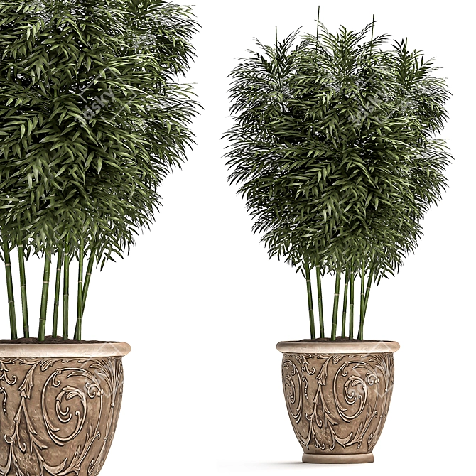 Exotic Bamboo Plants for Outdoor and Indoor Décor 3D model image 4