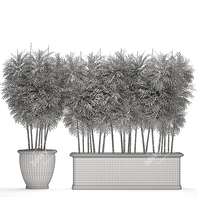 Exotic Bamboo Plants for Outdoor and Indoor Décor 3D model image 5