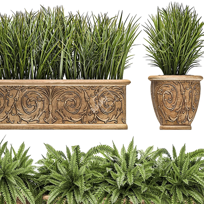 Exotic Plant Collection: Classic Vases for Outdoor Décor 3D model image 4