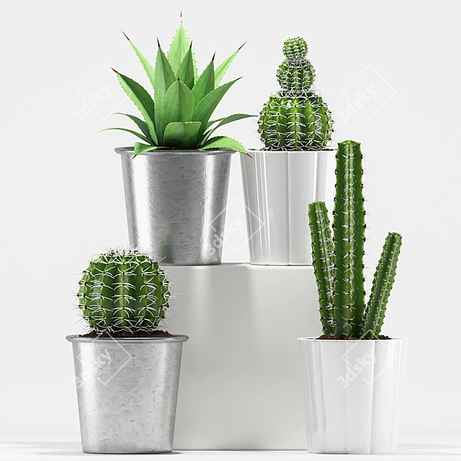 Desert Oasis: Agave & Cactus 3D model image 2