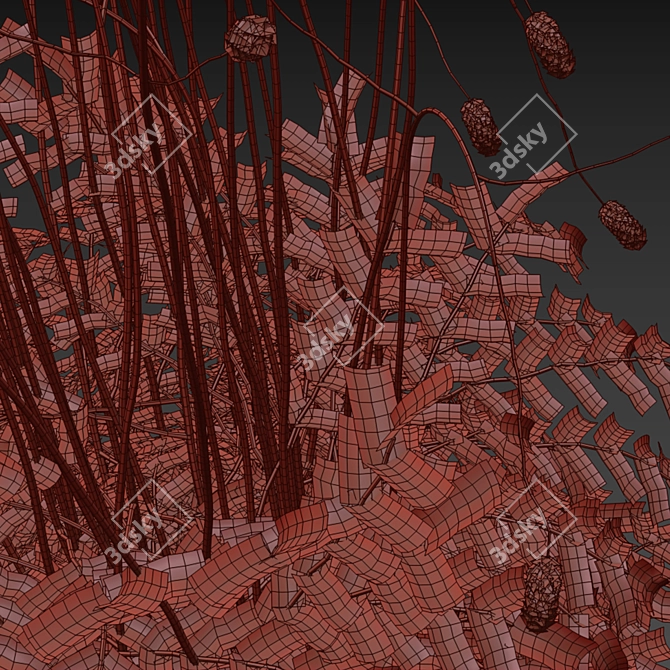 Hemophilus officinalis 3D Plant Model Bundle 3D model image 5