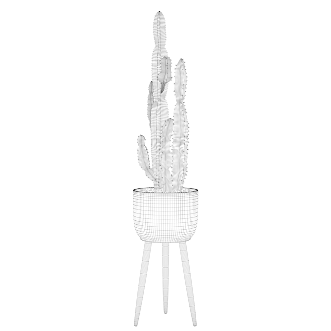 Euphorbia Candelabrum: Unique Indoor Cactus 3D model image 4