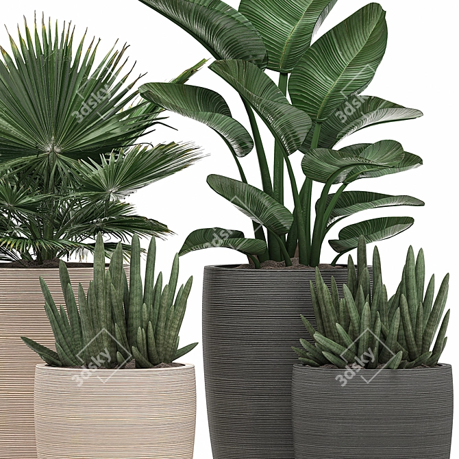 Exotic Tropical Plant Collection 3D model image 2