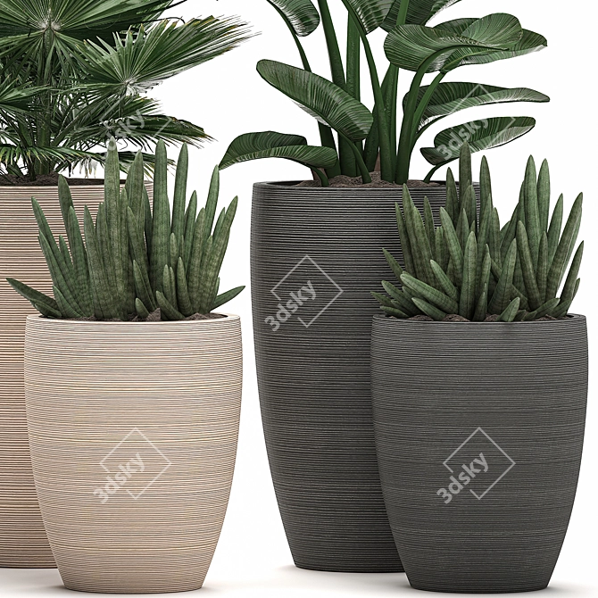 Exotic Tropical Plant Collection 3D model image 4