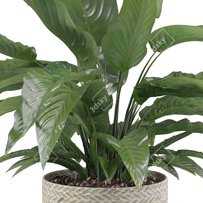 Exquisite Peace Lily - Perfectly Crafted 3D model image 3