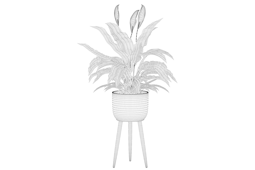 Exquisite Peace Lily - Perfectly Crafted 3D model image 4