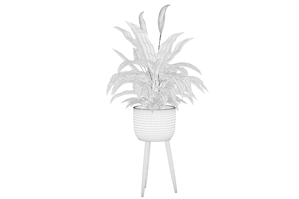 Exquisite Peace Lily - Perfectly Crafted 3D model image 5