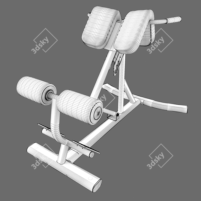 Ultimate Core Strength Builder 3D model image 5