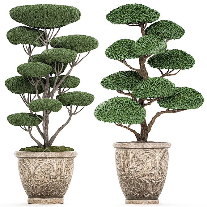 500 Exotic Plants Collection 3D model image 1