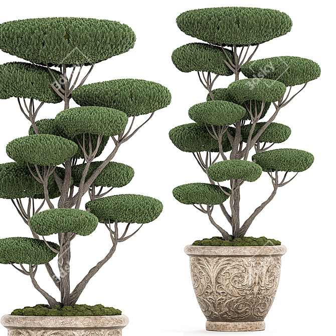 500 Exotic Plants Collection 3D model image 2