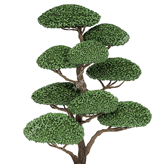 500 Exotic Plants Collection 3D model image 3