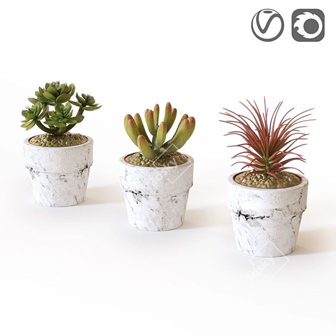 Naturalistic Artificial Succulents 3D model image 1